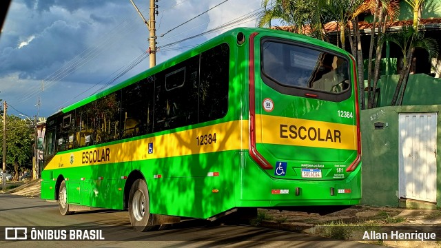 Transportes Capellini 12384 na cidade de Paulínia, São Paulo, Brasil, por Allan Henrique. Número da foto: #13091650.