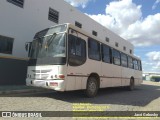 Ônibus Particulares 2497 na cidade de Adustina, Bahia, Brasil, por Jacó Gebosky. Número da foto: #13091267.
