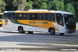 Viação Bassamar 175 na cidade de Leopoldina, Minas Gerais, Brasil, por Christian  Fortunato. Número da foto: #13090847.