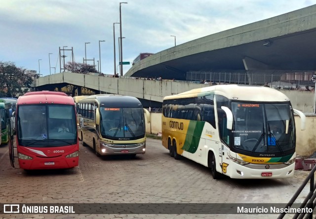 Empresa Gontijo de Transportes 19100 na cidade de Belo Horizonte, Minas Gerais, Brasil, por Maurício Nascimento. Número da foto: #13016443.