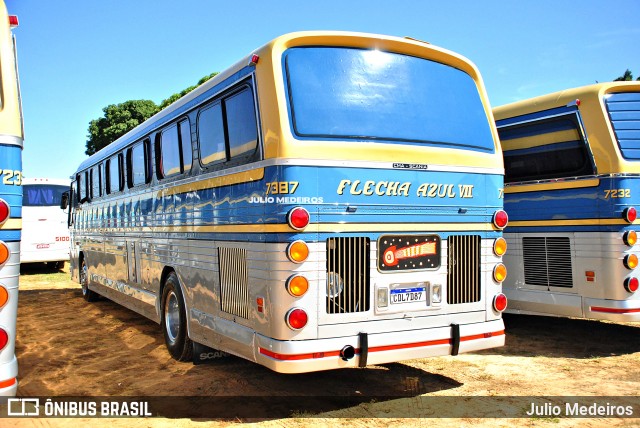 Ônibus Particulares 7387 na cidade de Artur Nogueira, São Paulo, Brasil, por Julio Medeiros. Número da foto: #13014976.