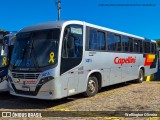 Transportes Capellini 34015 na cidade de Valinhos, São Paulo, Brasil, por Wellington Oliveira. Número da foto: #:id.