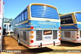 Ônibus Particulares 7239 na cidade de Artur Nogueira, São Paulo, Brasil, por Julio Medeiros. Número da foto: #13014958.