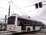 Himalaia Transportes > Ambiental Transportes Urbanos 4 1500 na cidade de São Paulo, São Paulo, Brasil, por Hipólito Rodrigues. Número da foto: #13014880.