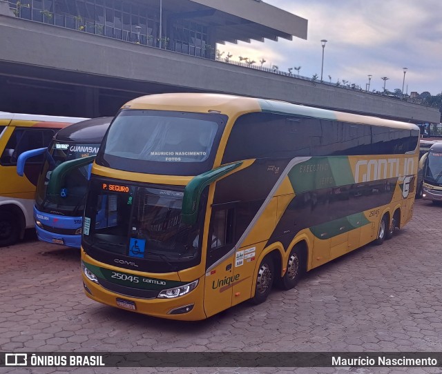 Empresa Gontijo de Transportes 25045 na cidade de Belo Horizonte, Minas Gerais, Brasil, por Maurício Nascimento. Número da foto: #13016468.