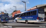 Piccolotur Transportes Turísticos 13102 na cidade de Guarulhos, São Paulo, Brasil, por Felipe Mariz. Número da foto: #13021291.