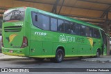 Pássaro Verde 11100 na cidade de Coimbra, Minas Gerais, Brasil, por Christian  Fortunato. Número da foto: #:id.