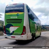 Pássaro Verde 12126 na cidade de São Domingos do Prata, Minas Gerais, Brasil, por Adrian Sena. Número da foto: #13020827.