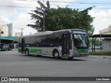 Viação Santa Brígida 1 1733 na cidade de São Paulo, São Paulo, Brasil, por Luis Nunez. Número da foto: #13019931.