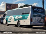 Águia Turismo 11213 na cidade de Riachão do Bacamarte, Paraíba, Brasil, por CHARLES WAGNER. Número da foto: #13019398.