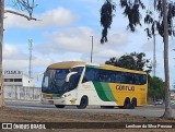 Empresa Gontijo de Transportes 19310 na cidade de Caruaru, Pernambuco, Brasil, por Lenilson da Silva Pessoa. Número da foto: #13021137.