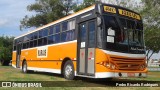 ITT - Itatiba Transporte e Turismo 4600 na cidade de Artur Nogueira, São Paulo, Brasil, por Pedro Ricardo Rodrigues. Número da foto: #13019732.