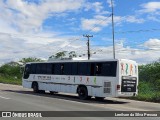 MM Fest Bus 008 na cidade de Caruaru, Pernambuco, Brasil, por Lenilson da Silva Pessoa. Número da foto: #13021772.