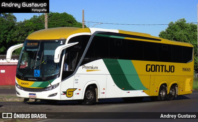 Empresa Gontijo de Transportes 19665 na cidade de Uberlândia, Minas Gerais, Brasil, por Andrey Gustavo. Número da foto: #13022525.