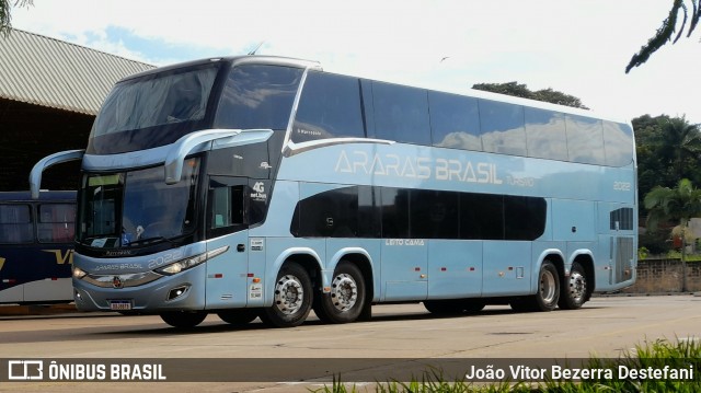 Araras Brasil Turismo 2022 na cidade de Maringá, Paraná, Brasil, por João Vitor Bezerra Destefani. Número da foto: #13023320.