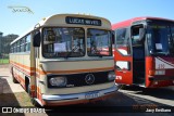 Ônibus Particulares COLEçãO MERCEDES BENZ na cidade de Artur Nogueira, São Paulo, Brasil, por Jacy Emiliano. Número da foto: #:id.