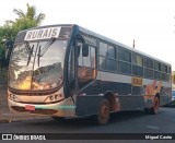 Transporte Rural 701 na cidade de Severínia, São Paulo, Brasil, por Miguel Castro. Número da foto: #:id.