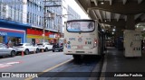 VIPE - Viação Padre Eustáquio 1443 na cidade de São Caetano do Sul, São Paulo, Brasil, por Andarilho Paulista. Número da foto: #13022560.
