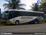 Águia Dourada 2024 na cidade de Lagarto, Sergipe, Brasil, por Gledson Santos Freitas. Número da foto: #13024095.