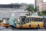 Independência > Trans Oeste Transportes 30118 na cidade de Belo Horizonte, Minas Gerais, Brasil, por Daniel da Silva. Número da foto: #13022784.