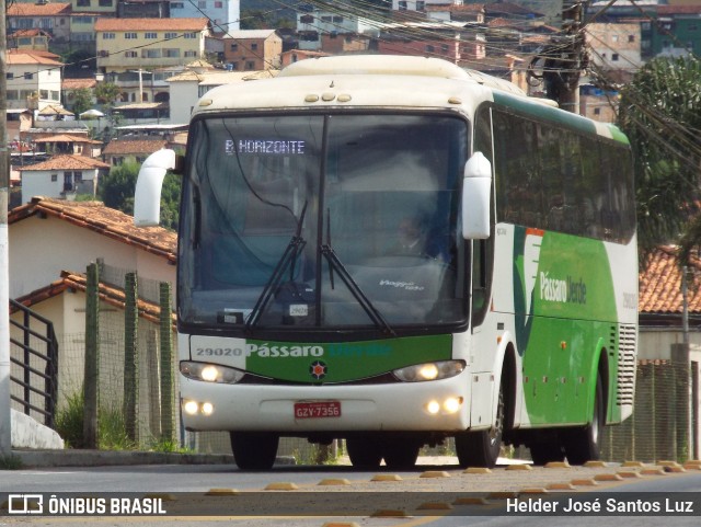 Pássaro Verde 29020 na cidade de Ouro Preto, Minas Gerais, Brasil, por Helder José Santos Luz. Número da foto: #13026058.