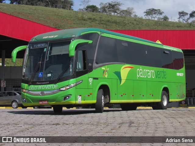 Pássaro Verde 19157 na cidade de João Monlevade, Minas Gerais, Brasil, por Adrian Sena. Número da foto: #13025630.