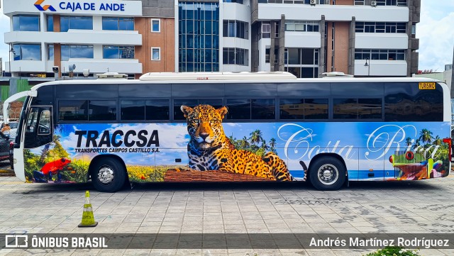 TCCSA - Transportes Campos Castillo 00 na cidade de Catedral, San José, San José, Costa Rica, por Andrés Martínez Rodríguez. Número da foto: #13026313.