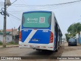 Transvida Transporte Coletivo 2050 na cidade de Ji-Paraná, Rondônia, Brasil, por Gian Lucas  Santana Zardo. Número da foto: #13025992.