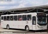 Transporte Coletivo Glória BL358 na cidade de Curitiba, Paraná, Brasil, por Busologia Gabrielística. Número da foto: #13026248.
