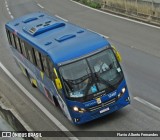 Fretadão Rental 12407 na cidade de Mairinque, São Paulo, Brasil, por Flavio Alberto Fernandes. Número da foto: #:id.