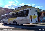 Viação Campo dos Ouros 3903 na cidade de Guarulhos, São Paulo, Brasil, por Felipe Mariz. Número da foto: #13026252.