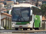 Pássaro Verde 29020 na cidade de Ouro Preto, Minas Gerais, Brasil, por Helder José Santos Luz. Número da foto: #13026058.