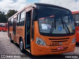 Araucária Transportes Coletivos LN404 na cidade de Curitiba, Paraná, Brasil, por Gabriel Serafim. Número da foto: #13024949.