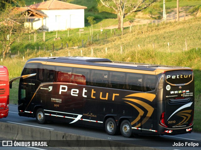 Pet Tur - Rms Transporte e Turismo 3010 na cidade de Canas, São Paulo, Brasil, por João Felipe. Número da foto: #13028989.