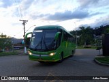 Pássaro Verde 11102 na cidade de Itabirito, Minas Gerais, Brasil, por Arthur Soares. Número da foto: #13028281.