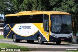 Viação Progresso 31308 na cidade de Muriaé, Minas Gerais, Brasil, por Lucas Oliveira. Número da foto: #:id.