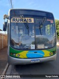 Transporte Rural 943516 na cidade de Avanhandava, São Paulo, Brasil, por Thyago Galante . Número da foto: #13028876.