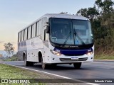 Real Transporte e Logística 195 na cidade de Conselheiro Lafaiete, Minas Gerais, Brasil, por Eduardo Vieira. Número da foto: #:id.