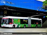 Next Mobilidade - ABC Sistema de Transporte 8187 na cidade de Diadema, São Paulo, Brasil, por César Ônibus. Número da foto: #13029751.