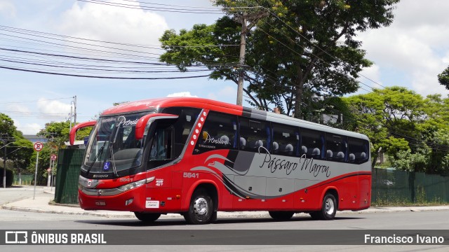Empresa de Ônibus Pássaro Marron 5641 na cidade de São Paulo, São Paulo, Brasil, por Francisco Ivano. Número da foto: #13095253.