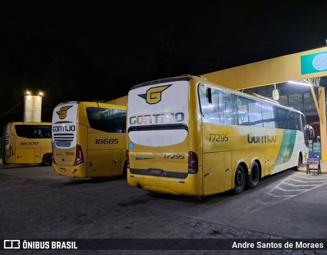 Empresa Gontijo de Transportes 17295 na cidade de Perdões, Minas Gerais, Brasil, por Andre Santos de Moraes. Número da foto: #13093494.