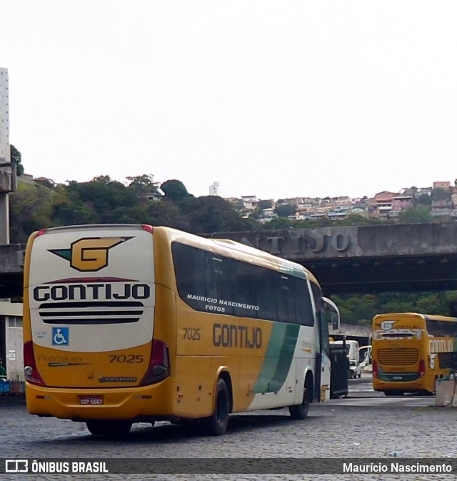 Empresa Gontijo de Transportes 7025 na cidade de Belo Horizonte, Minas Gerais, Brasil, por Maurício Nascimento. Número da foto: #13095562.