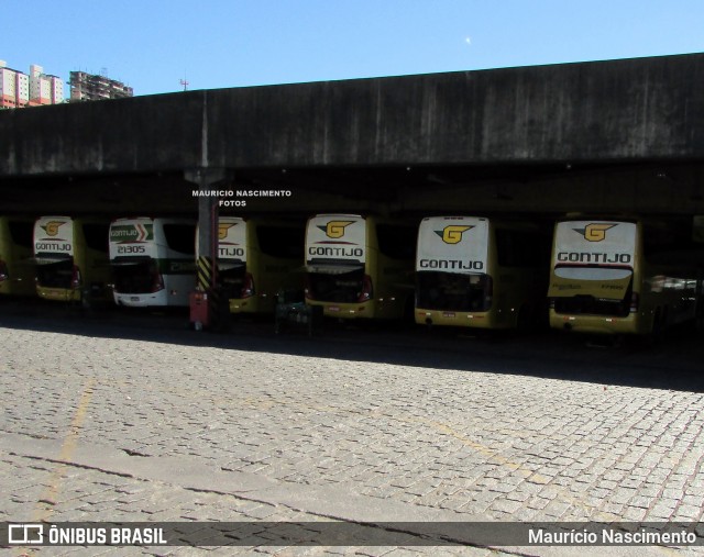 Empresa Gontijo de Transportes 21305 na cidade de Belo Horizonte, Minas Gerais, Brasil, por Maurício Nascimento. Número da foto: #13093956.