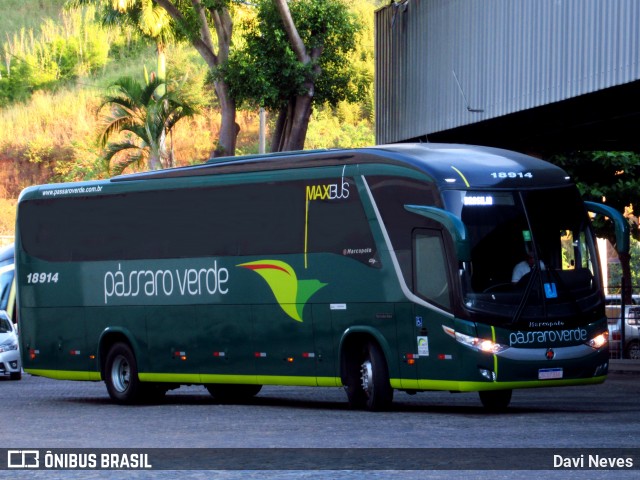 Pássaro Verde 18914 na cidade de Ponte Nova, Minas Gerais, Brasil, por Davi Neves. Número da foto: #13094886.