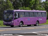 Estrela Sul Transportes e Serviços 2430 na cidade de Fernandes Pinheiro, Paraná, Brasil, por André Felipe Mudrei. Número da foto: #13095520.