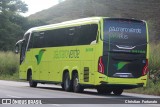 Pássaro Verde 24185 na cidade de Coimbra, Minas Gerais, Brasil, por Christian  Fortunato. Número da foto: #13093321.
