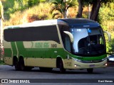 Pássaro Verde 16900 na cidade de Ponte Nova, Minas Gerais, Brasil, por Davi Neves. Número da foto: #13094889.