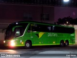 Pássaro Verde 16903 na cidade de Ponte Nova, Minas Gerais, Brasil, por Davi Neves. Número da foto: #13094898.