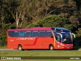 Viação Sampaio 9503 na cidade de Cachoeira Paulista, São Paulo, Brasil, por João Felipe. Número da foto: #13093685.