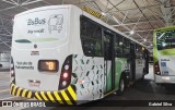 BsBus Mobilidade 78883 na cidade de Ceilândia, Distrito Federal, Brasil, por Gabriel Silva. Número da foto: #13093244.